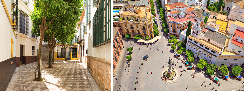 Santa Cruz og Plaza Virgen de los Reyes, Spanien